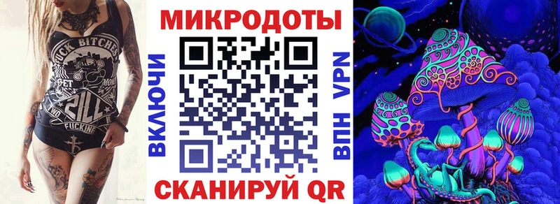 Галлюциногенные грибы Psilocybe  Горячеводский 
